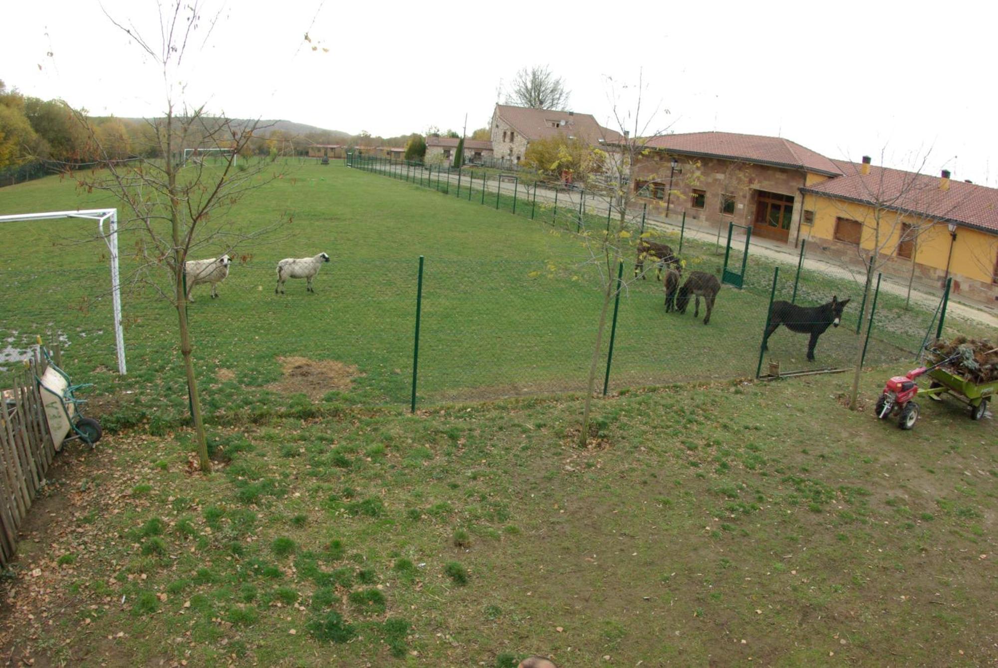 Bungalows Granja Escuela Arlanzón Buitenkant foto